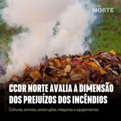 Os prejuízos causadas em culturas, animais, construções e máquinas e equipamentos.