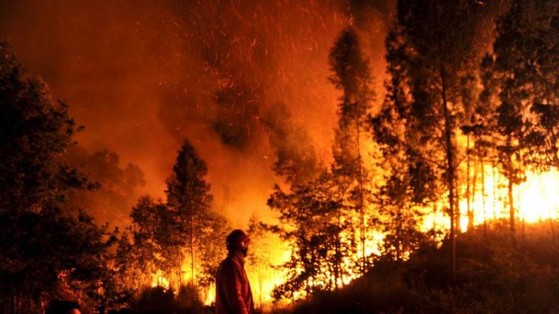 Alargado âmbito territorial, prazo e montante no subsídio excecional à agricultura