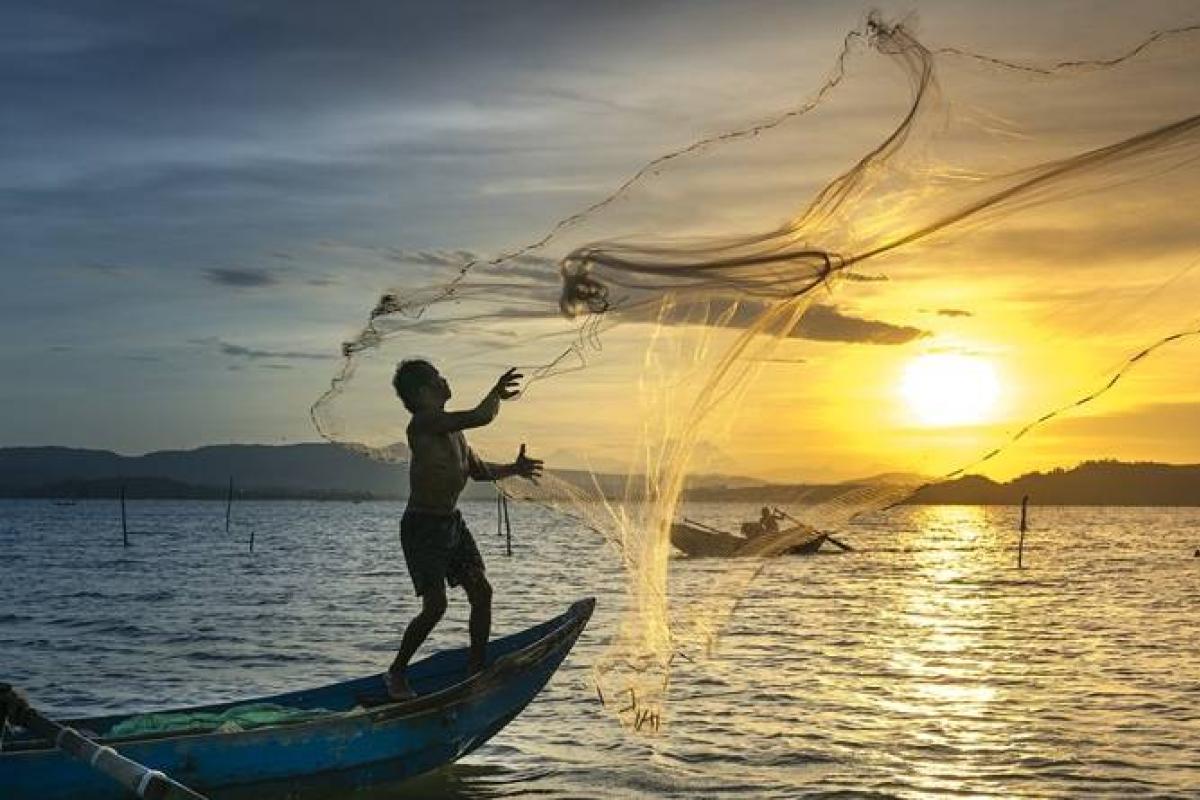 Noticia sobre Pesca
