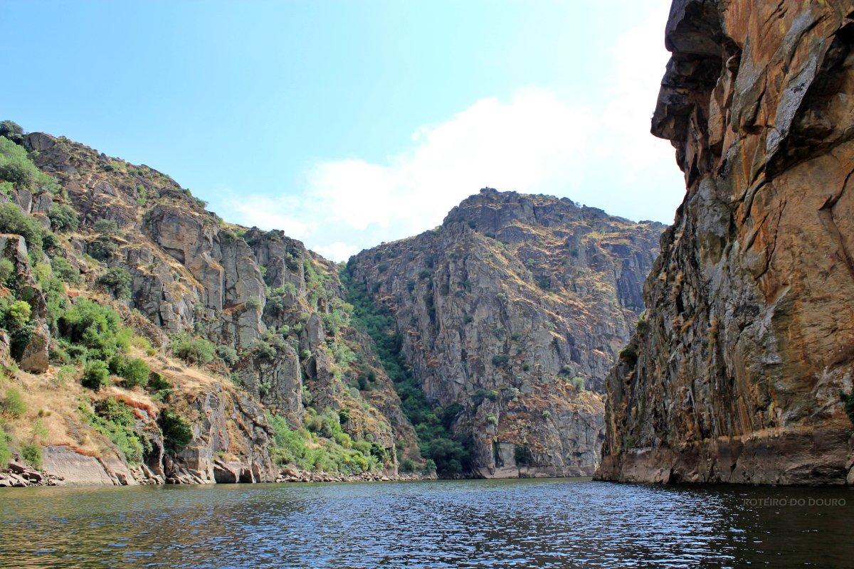 Apoio zonal douro internacional, sabor, maçãs e vale do côa